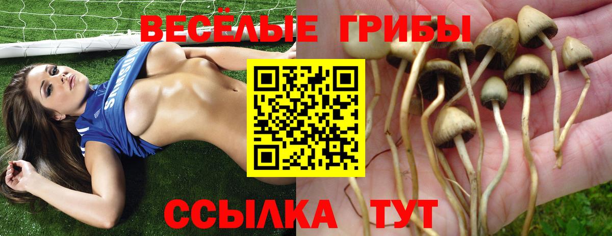 Нижний Новгород  магазин продажи наркотиков  Вход с VPN  Галлюциногенные грибы мухоморы  Галлюциногенные грибы Psilocybe 